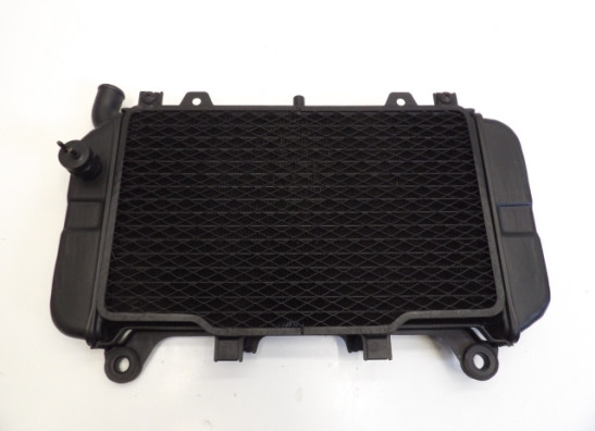 Radiator Kawasaki ZZR 600