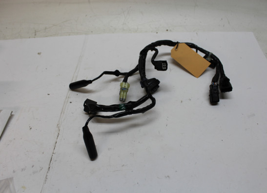 Kabelboom voor Honda CBR 600 F