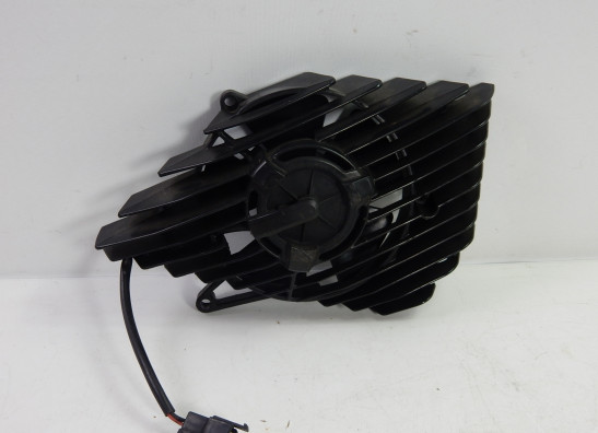 Radiator parts Benelli Overig Benelli