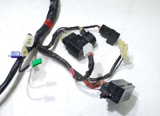 Wire Harness Yamaha FAZER 600