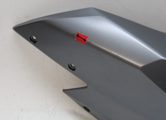 Tankcover BMW R 1200 RS LC