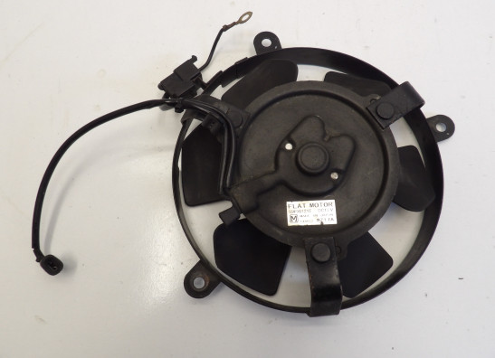 Fan Honda CBR 900 RR