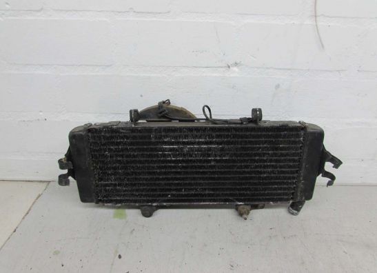 Radiateur Honda CBR 600 F