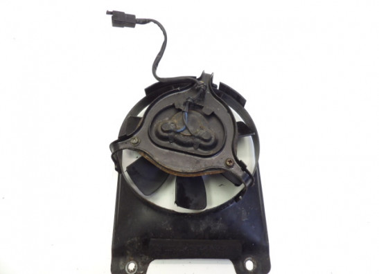 Fan Yamaha TDM