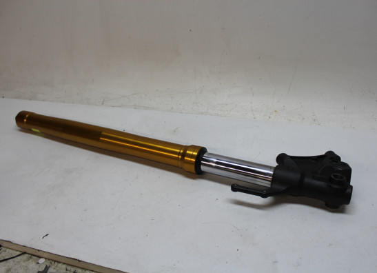 Standrohr Gabelholm rechts komplett Yamaha MT 09