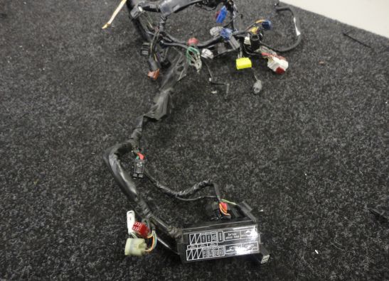 Kabelbaum Honda CBR Fireblade