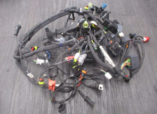 Kabelboom Aprilia Tuono 660 2021-2023