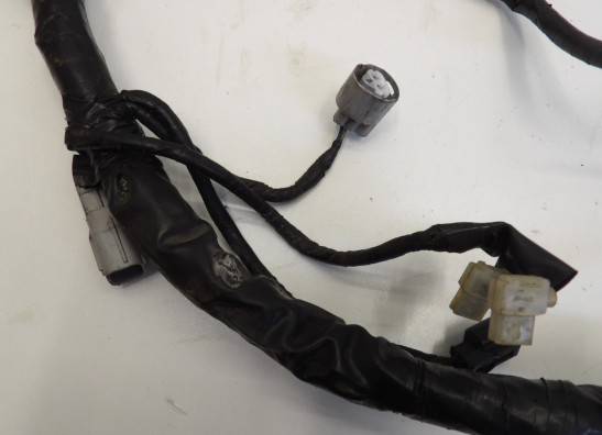 Kabelboom Honda CBF 1000