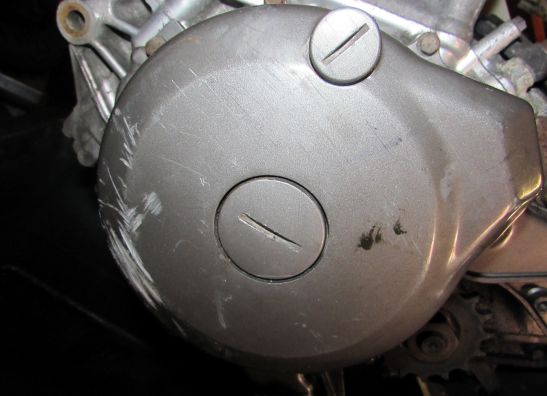 Motorblock Yamaha TDM