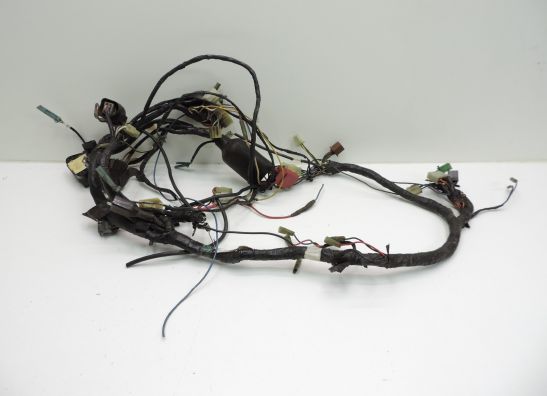 Wire Harness Kawasaki GPZ 900