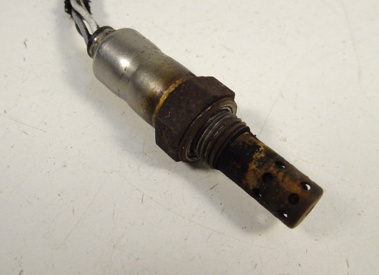 Lambda sensor Triumph Tiger 1050