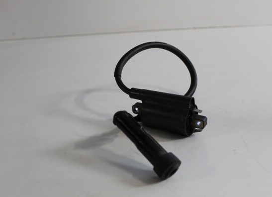 Bobine Yamaha SZR 660