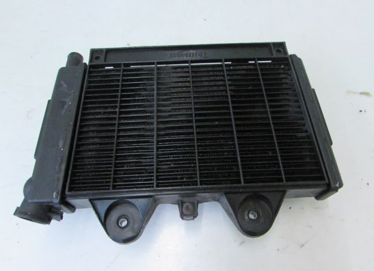 Radiateur Triumph Sprint 900 Executive