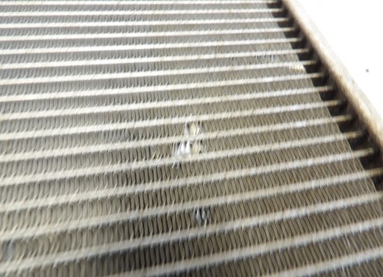 Radiator Kawasaki Z 1000 Sx