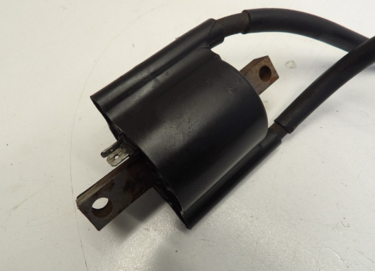 Bobine Yamaha FZR 600