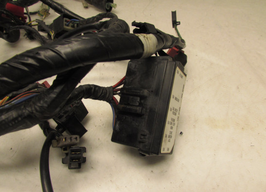 Kabelboom Honda CBR 1000 F