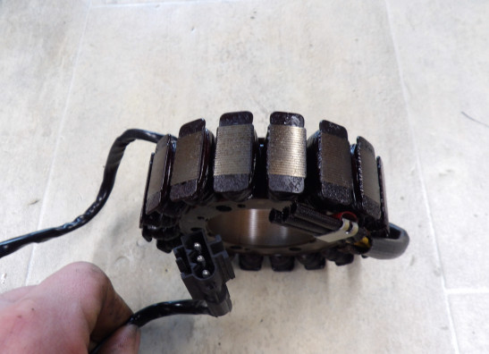 Generator BMW F 800 R