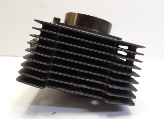 Zylinder Suzuki GS 500 E