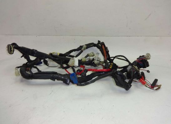 Kabelboom Yamaha YZF R1