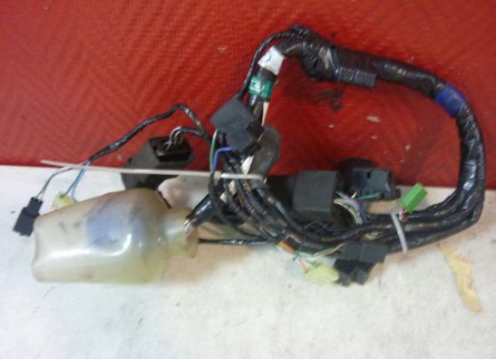 Wire harness front Honda VFR 800 I