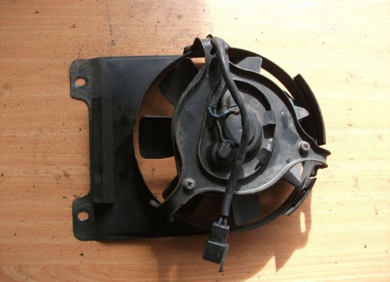 Fan Yamaha TDM