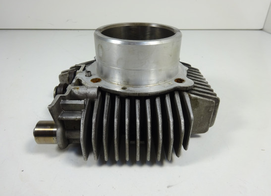 Cilinderblok Ducati monster 600