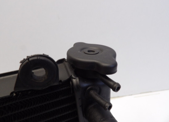 Radiateur Yamaha FZR 400