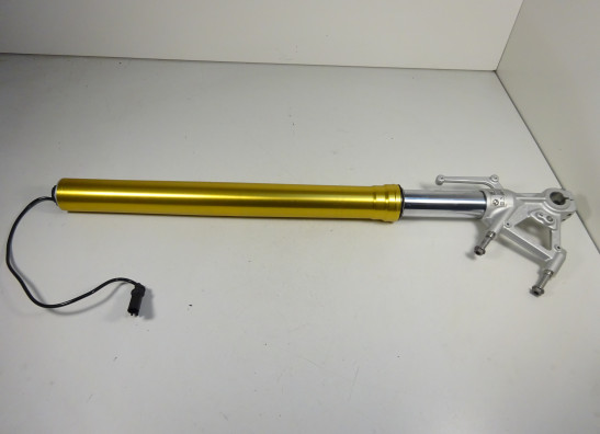 Voorpoot links compleet BMW R 1200 R