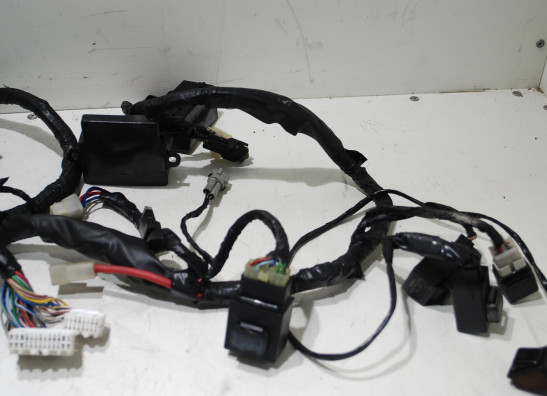 Kabelboom Yamaha GTS 1000