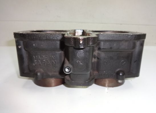 Cylinders Kawasaki GPZ 500