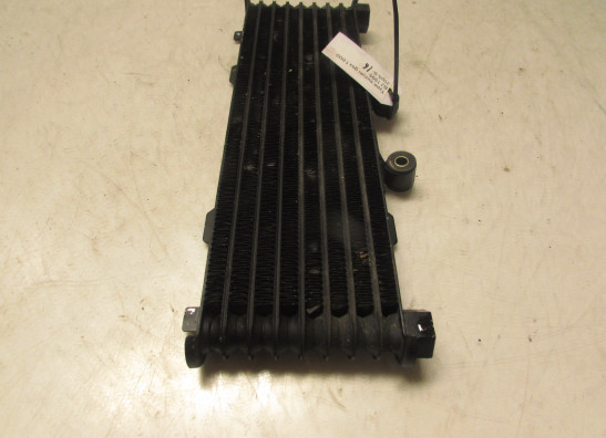 Olkuhler Suzuki GSX F 600