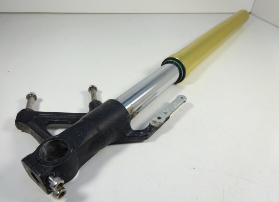 Front Fork right complete Triumph Tiger 1050
