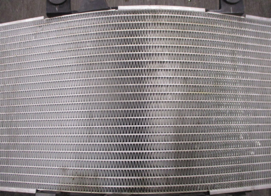 Kuhler BMW F 850 GS Adventure