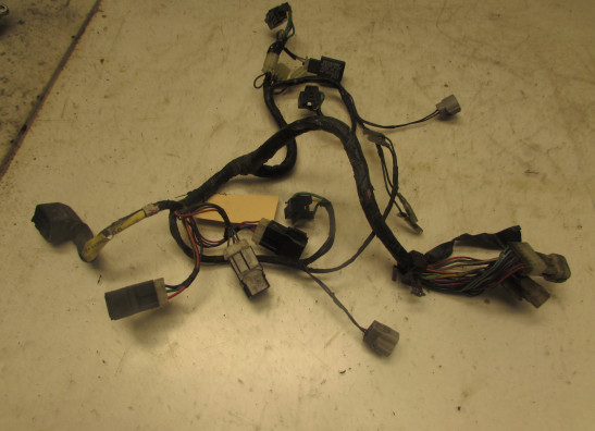 Kabelbaum vorne Yamaha FJR 1300