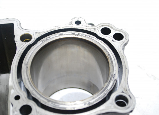 Cilinderblok Suzuki SV 650