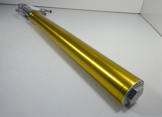 Standrohr Gabelholm rechts komplett BMW R 1200 R