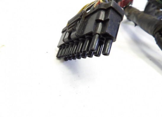 Wire Harness Honda CB 1000 F