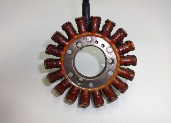 Dynamo Kawasaki ZZR 250