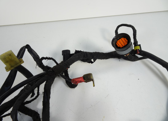 Wire Harness Ducati 749  999