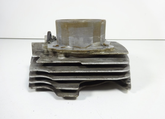 Cilinderblok Ducati monster 600