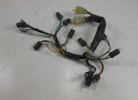 Wire harness front Honda CBR 600 F