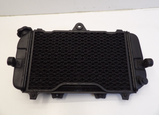 Radiateur Yamaha TDM