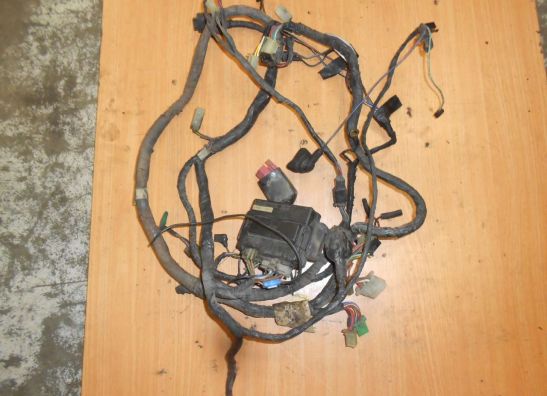 Wire Harness Kawasaki ZX 10 R