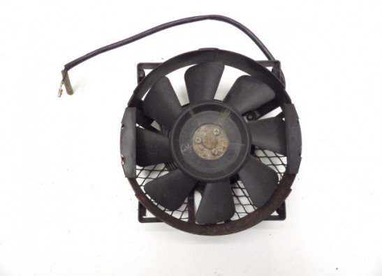Fan Suzuki VX 800
