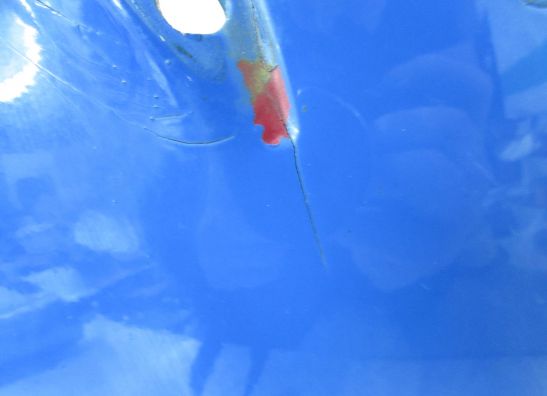 Frontverkleidung kanzel Kawasaki ZZR 600