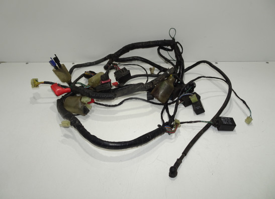 Wire Harness Honda XL 1000 V Varadero