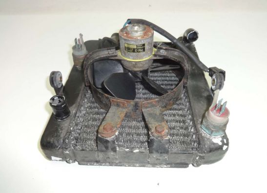 Kuhler Yamaha YP 250 Majesty