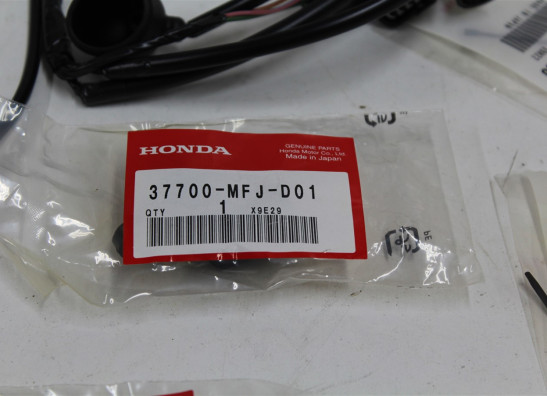 Kabelboom Honda CBF 600