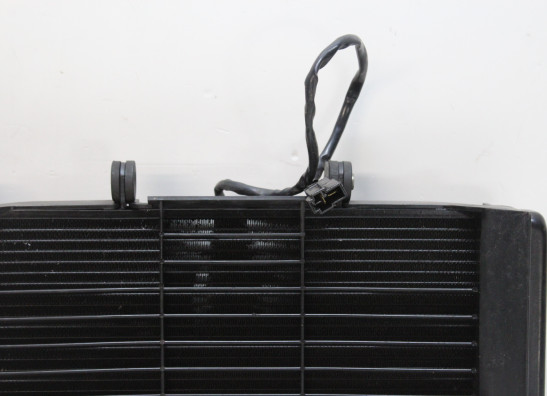 Radiateur Yamaha XJ 6 N