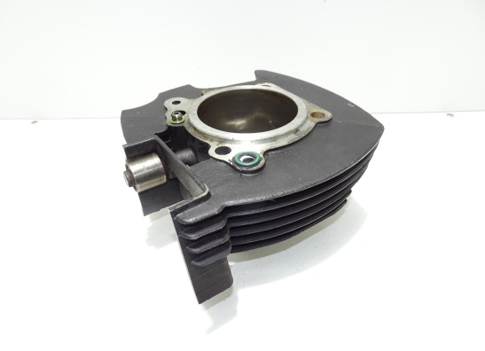 Cilinderblok Ducati monster 600